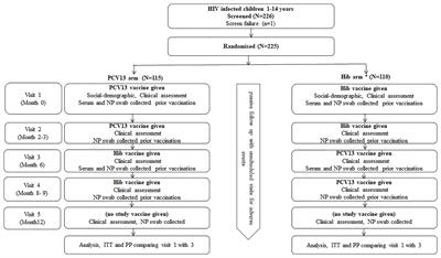 Immunogenicity and Efficacy of Pneumococcal Conjugate Vaccine (Prevenar13®) in Preventing Acquisition of Carriage of Pneumococcal Vaccine Serotypes in Tanzanian Children With HIV/AIDS